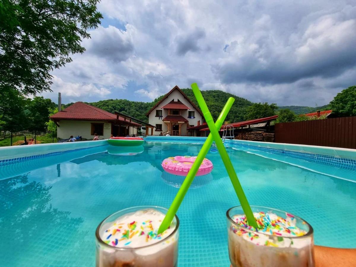 Conacul De Sub Munte Villa Novaci-Straini Ngoại thất bức ảnh