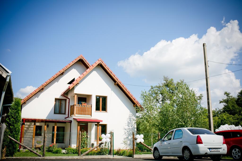 Conacul De Sub Munte Villa Novaci-Straini Ngoại thất bức ảnh