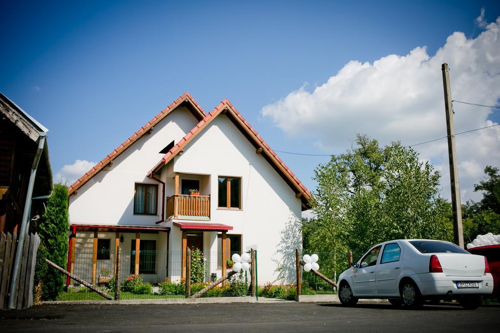 Conacul De Sub Munte Villa Novaci-Straini Ngoại thất bức ảnh