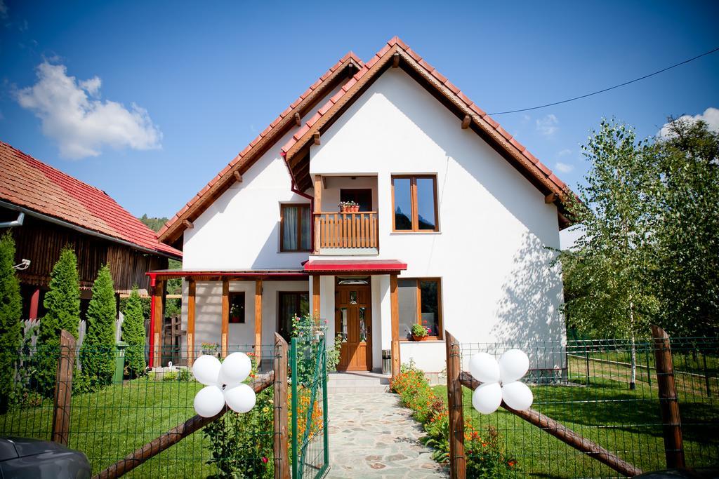 Conacul De Sub Munte Villa Novaci-Straini Ngoại thất bức ảnh
