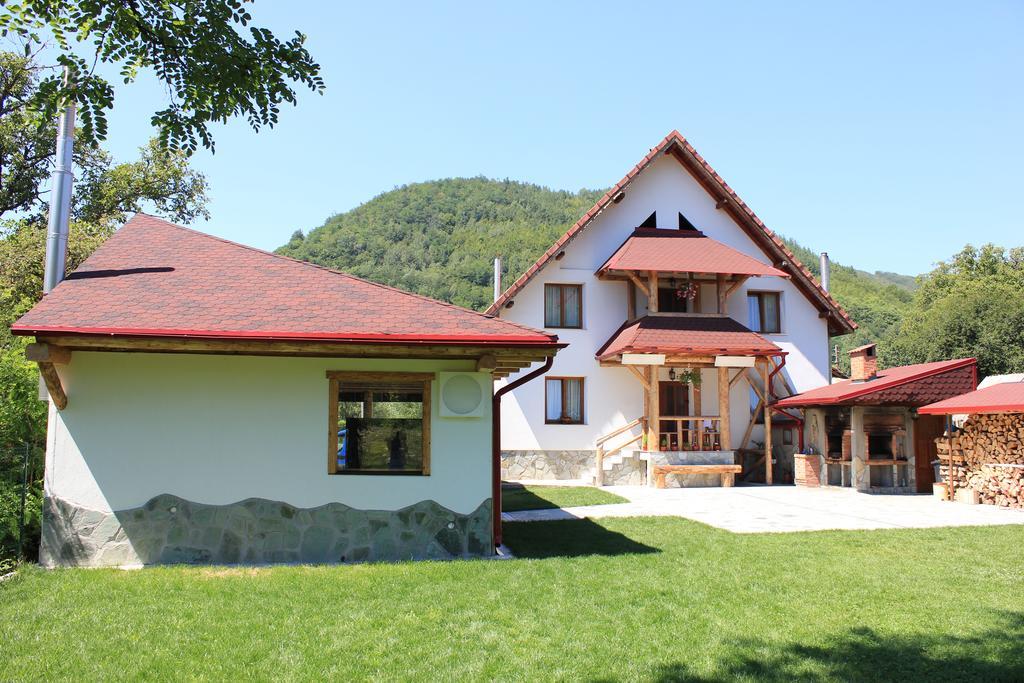 Conacul De Sub Munte Villa Novaci-Straini Ngoại thất bức ảnh