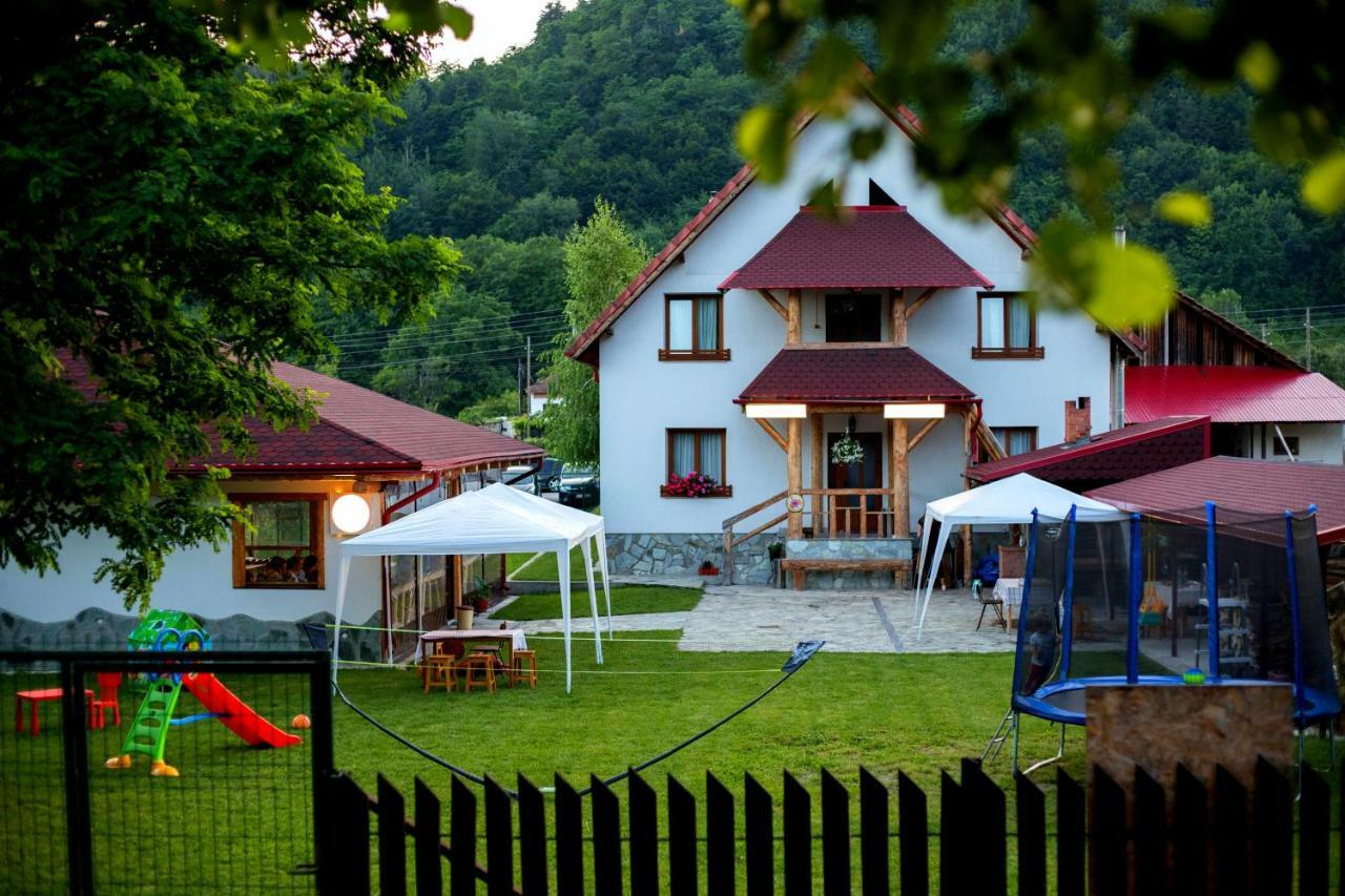 Conacul De Sub Munte Villa Novaci-Straini Ngoại thất bức ảnh