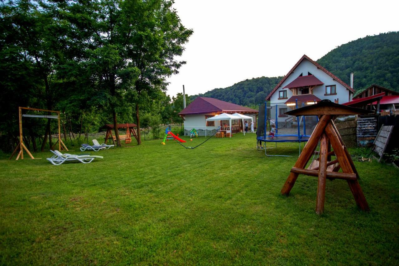 Conacul De Sub Munte Villa Novaci-Straini Ngoại thất bức ảnh