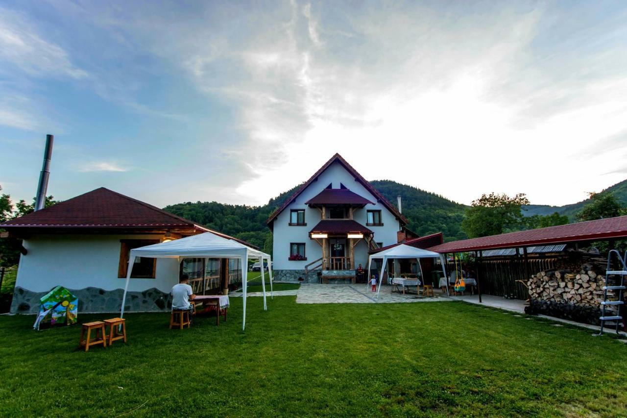 Conacul De Sub Munte Villa Novaci-Straini Ngoại thất bức ảnh